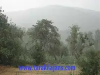 TARAKLI BEREKET YAĞDI