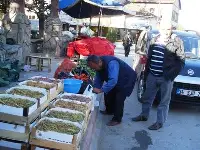 Üzüm Almadan Geçmek Yok