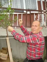 Erik Ağacı Çiçek Açtı