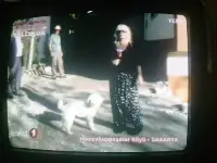 Lezzete Yolculuk