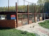 Köpek Barınağı Kapatıldı