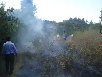 Bahçede Çıkan Yangın Korkuttu