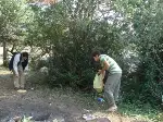 Karagöl Yaylasında Piknik Yapan Aileden Çöp Seferberliği