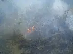 Bahçede Çıkan Yangın Korkuttu