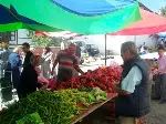 Salçada Tercih Kırmızı Biber