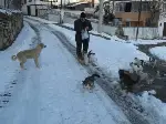 Sokağındaki Kedi ve Köpekleri Besliyor