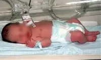 Üniversiteli Anne Bebeğini Çöp Kutusuna Attı