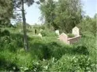 Mezarlığa Ziyaretçi Akını