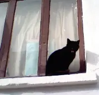 Sizden Gelen
