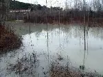 Göynük Suyu Deresi Islah Edilmeli...