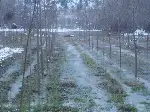 Bahçeler Sular Altında