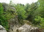 Köprü İsteği