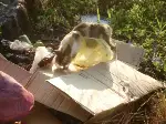 Objektife Takılan