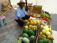 Bu Domates Başka Domates