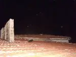Çatıda Mahsur Kalan Kedi Kurtarıldı