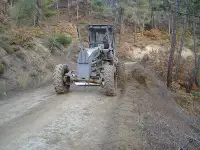 Yangın Şeridi
