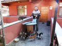 76 Yaşında 17 Kediyle Yaşıyor