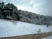 Taraklı'dan Kar Manzaraları