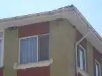 Kırlangıçlar Yuva Yaptı
