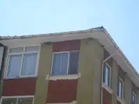 Kırlangıçlar Yuva Yaptı