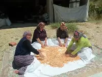 Evlerde Tarhana, Makarna ve Erişte yapılıyor