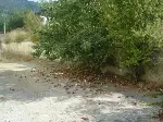 Spor Salonunun İçler Acısı Hali Öğrenci Velilerini Tedirgin Ediyor