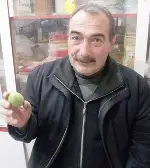 Bu Mevsimde Ağaçta Yaş Ceviz