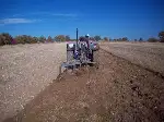 Çiftçi Tarlada