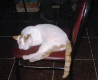 Objektifimize Takılan