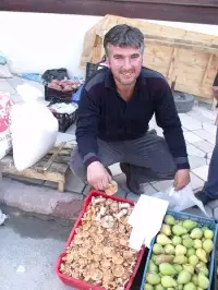 Kanlıca Mantarı 12 TL'den Alıcı Buldu