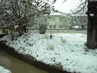 TARAKLI'dan Kar Manzaraları