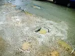 Bitmez Bu Çile...