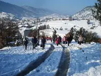 Öğrenciler Yürüyerek Okula Gitti