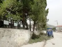 Toplum Sağlığı Merkezindeki Ağaçlar Budandı