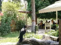 Objekife Takılan