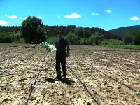 Enginar Dikimi Başladı