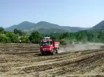 Orman Yangını Kontrol Altında