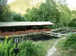 Alabalık Çiftlğine İlgi