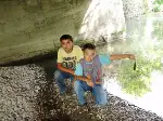 Göynük Suyu Deresinde Balık Ölümleri Görüldü