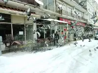 Güvercinlere Yem Atıyorlar