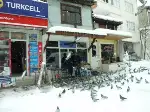 Güvercinlere Yem Atıyorlar
