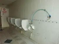 Umumi Tuvalette Zarar