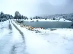 Karagöl Yaylasında 60 yıl sonra bir İlk Yaşandı