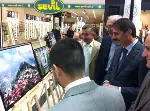 41 kere Maşallah
