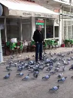 Güvercinlere Yem Atmak Huzur Veriyor
