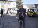 Yılbaşı Hindileri Rağbet Görmüyor