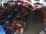 Soğuk Hava Taraklı'da Pazarı Olumsuz Etkiledi
