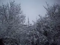 Baharı Beklerken Kış Geldi