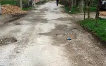 Taraklı da Yollar Köstebek Yuvası