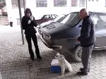 Taraklı da Köpeklere Kuduz Aşısı Yapıldı